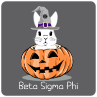 Beta Sigma Phi Apparel & Merch Thumbnail